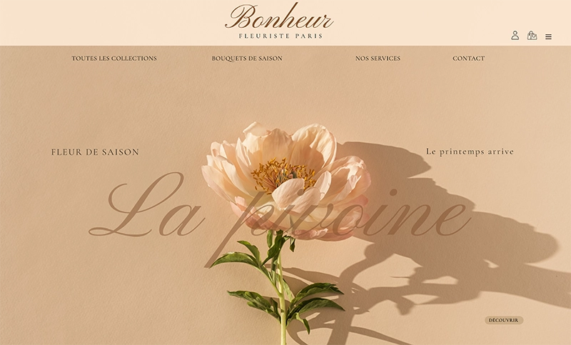 L'interface de la page "accueil" pour la marque Bonheur.